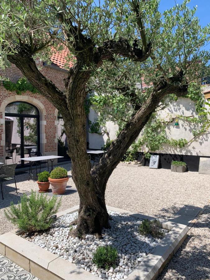 B&B Kleinen Bosch Beveren  Zewnętrze zdjęcie